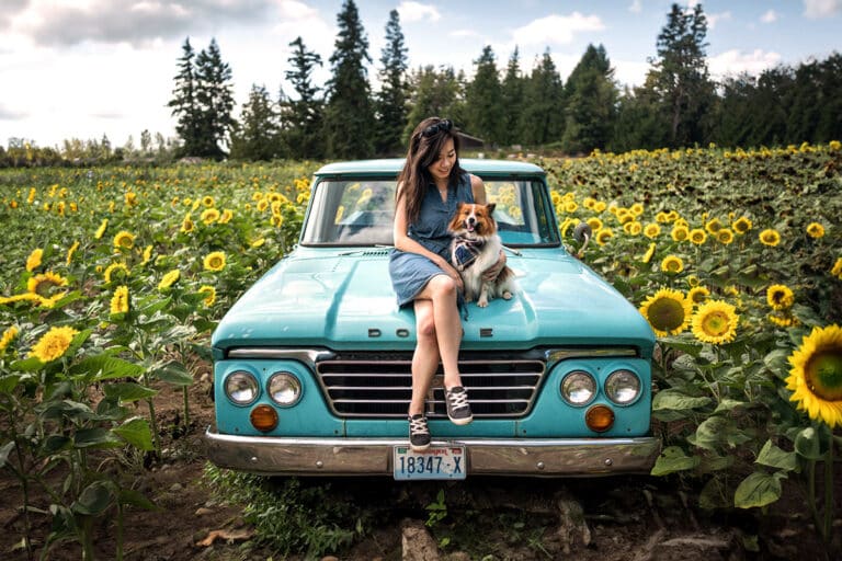 Sunflower Days with Maris Farm